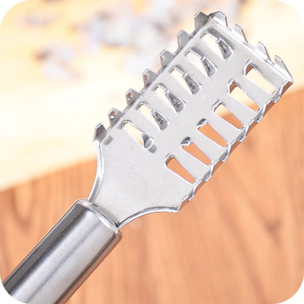 Fish Scale Remover Fast Planing &Amp; Scraping Stainless Steel