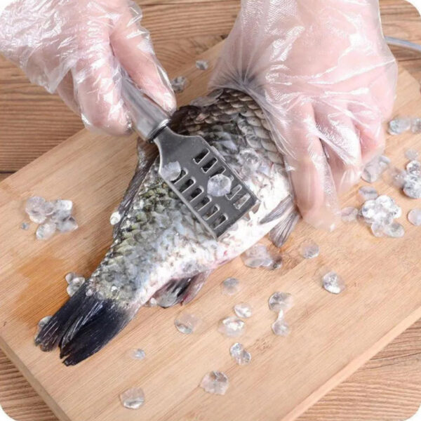 Fish Scale Remover Fast Planing &Amp; Scraping Stainless Steel