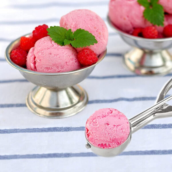 Ice Cream Scoop With Spring Mechanism Stainless Steel