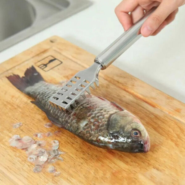 Fish Scale Remover Fast Planing &Amp; Scraping Stainless Steel