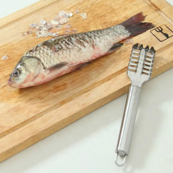 Fish Scale Remover Fast Planing &Amp; Scraping Stainless Steel