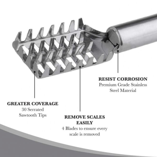 Fish Scale Remover Fast Planing &Amp; Scraping Stainless Steel