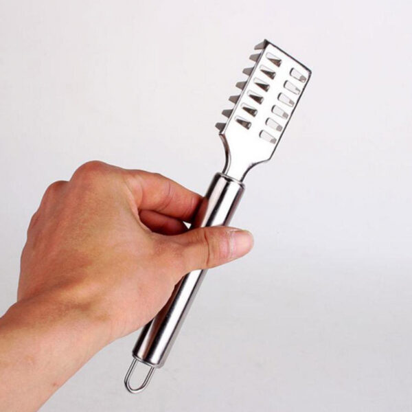 Fish Scale Remover Fast Planing &Amp; Scraping Stainless Steel