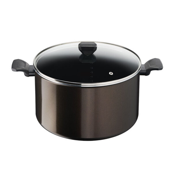Tefal Easy Cook Stockpot 30 Cm Titanium Non Stock Cooking Pot 4.7 L With Lid Suitable For All Heat Sources Except Induction B5546902