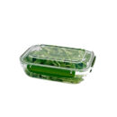 Dunya Plastic Container Rectangle 975ml Master Rectangle 30843