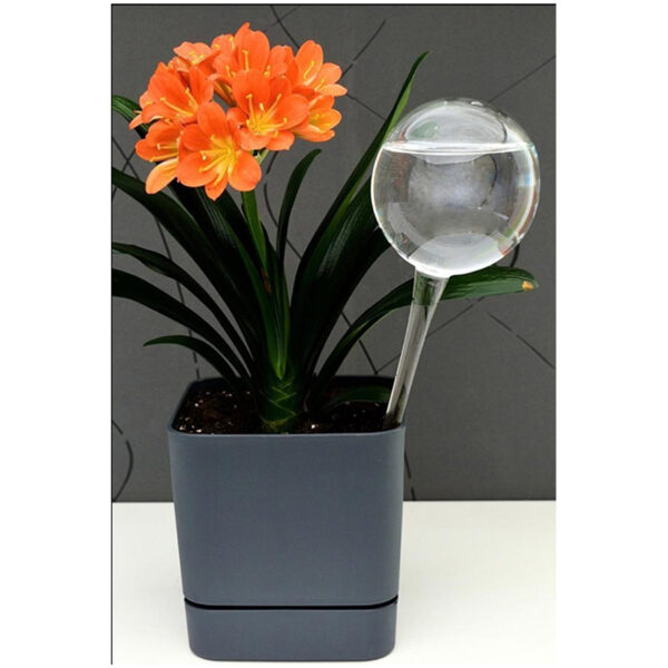 Urve Humidifier Flowered Pot Flower Watering Apparatus Plant Waterer Automatic Flower Drip Ur3115