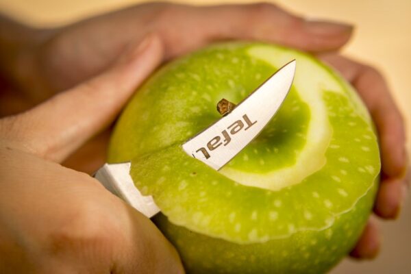Tefal Ingenio Ice Paring Knife 7Cm Ice Force Technology German Stainless Steel Brushed Stainless Steel Black 27.5 X 6 X 2 Cm K2321214
