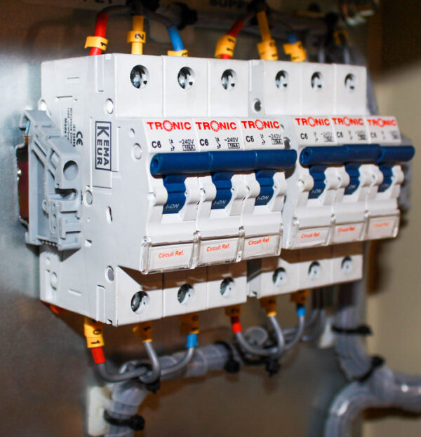 Tronic Automatic Transfer Switch 100A