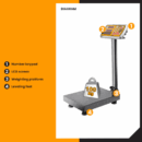 Ingco Rechargeable Digital Platform Scale 100kg with LED Display, 20g Graduation HESA31003