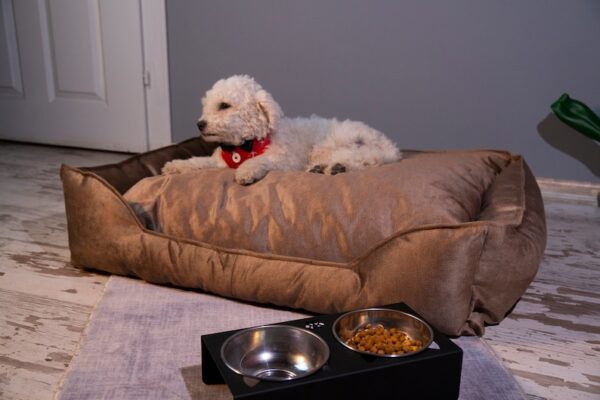 Pv Dog Bed 73 X 62 X 20Cm Large Yd-S01L