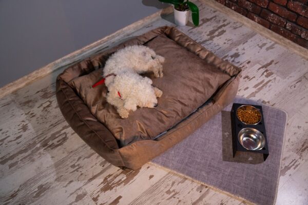 Pv Dog Bed 73 X 62 X 20Cm Large Yd-S01L