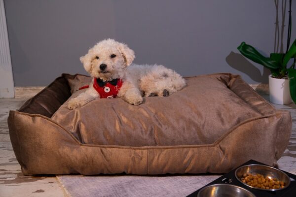 Pv Dog Bed 73 X 62 X 20Cm Large Yd-S01L