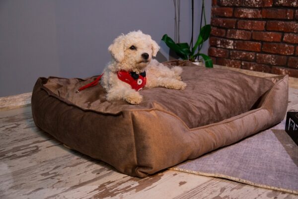 Pv Dog Bed 73 X 62 X 20Cm Large Yd-S01L
