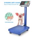 Generic Commercial Stand Scale 150kg Max