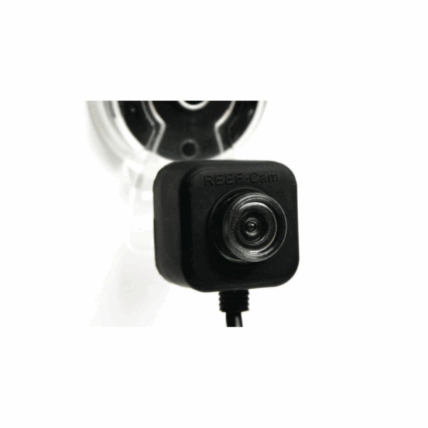 Reef-Cam Underwater Camera With Wifi, 26 X 26 X 19Mm, Ios &Amp; Android Compatible