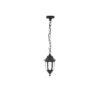 Tronic Ornamental Outdoor Hanging Lamp LL 908D-BK
