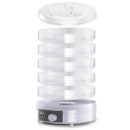 RAF Fruit Dehydrator 5 Trays 350W, Adjustable Temperature, Simple Operation R.6800