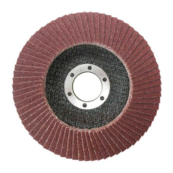 Total Flap Disc 115Mm P40 Tac631151