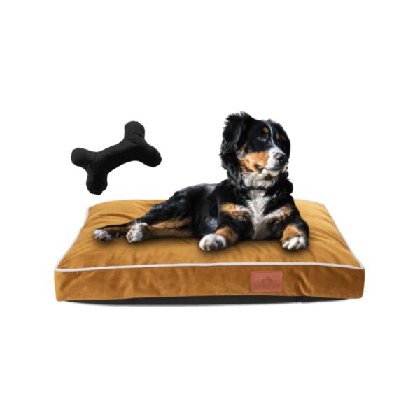 Pv Dog Cushion Bed Medium 90 X 60 X 10Cm Brown &Amp; Blue Yd-Dz01M