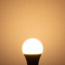 Tronic 13 Watts LED B22 (Pin) Bulb