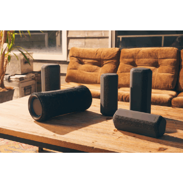 Sony Portable Bluetooth Speaker Srs-Xe300