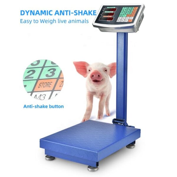 Generic Commercial Stand Scale 150kg Max