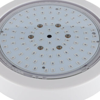 Tronic Submersible Red, Green &Amp; Blue Led 10 Watts Swimming Pool Light