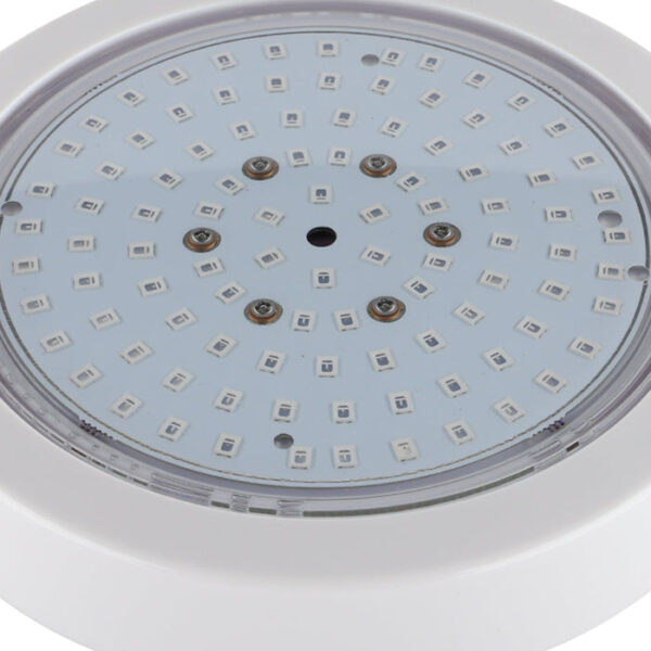 Tronic Submersible Red, Green &Amp; Blue Led 10 Watts Swimming Pool Light