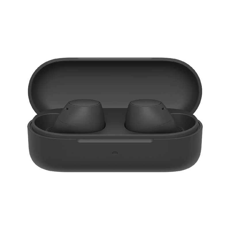 Sony Wireless Bluetooth Earbuds With Mic, Noise Cancelling, 10 Hours Playback, Quick Charge, Ipx4 Rating Wf-C510