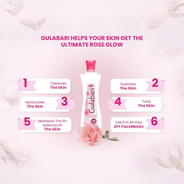 Dabur Gulabari Rose Water With No Paraben, Cleanses, Hydrates &Amp; Moisturises Skin, Balances &Amp; Restores Skin'S Ph Levels, For All Skin Types 250Ml (Pack Of 6)