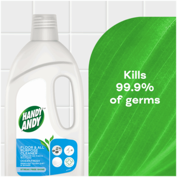 Handy Andy Floor &Amp; All Purpose Cleaner Ocean 750Ml