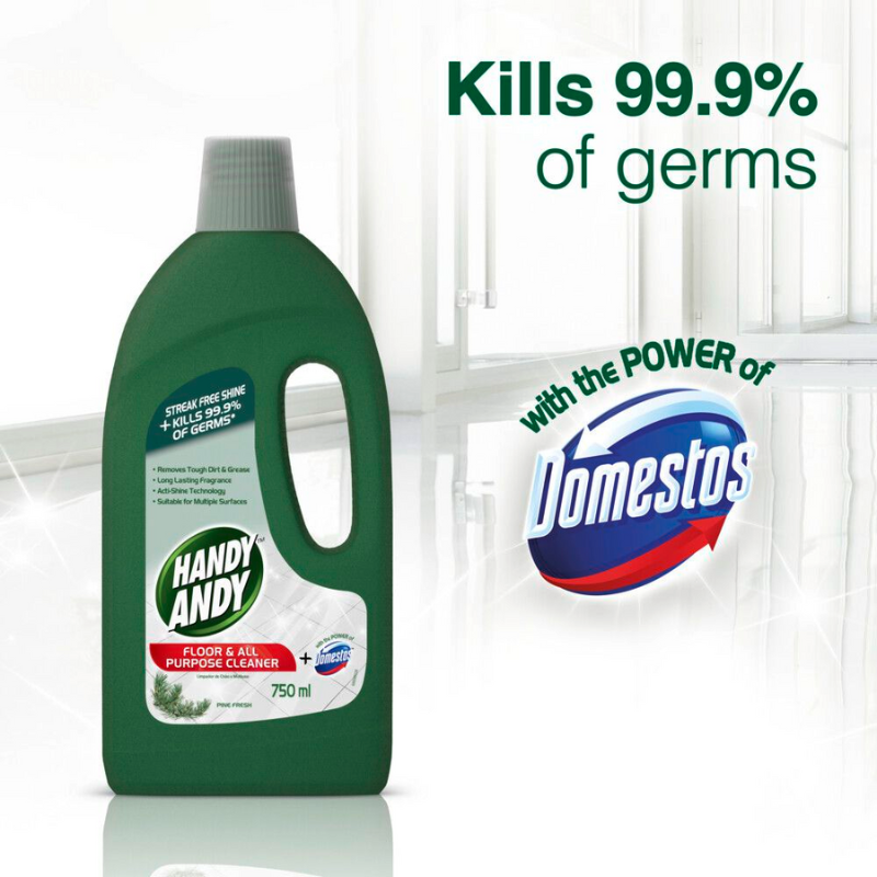 Handy Andy Floor &Amp; All Purpose Cleaner Pine 750Ml