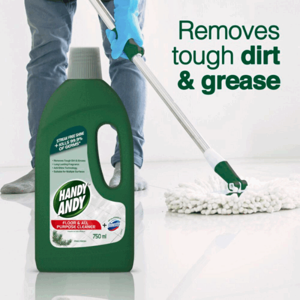 Handy Andy Floor &Amp; All Purpose Cleaner Pine 750Ml